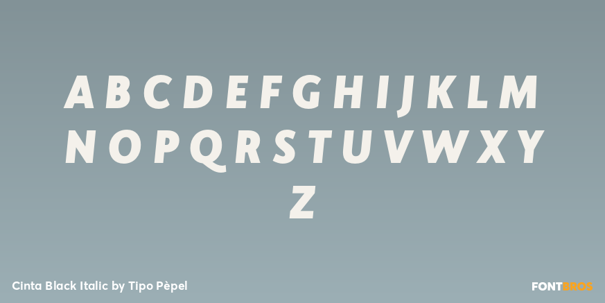 Cinta Black Italic Font Poster #1