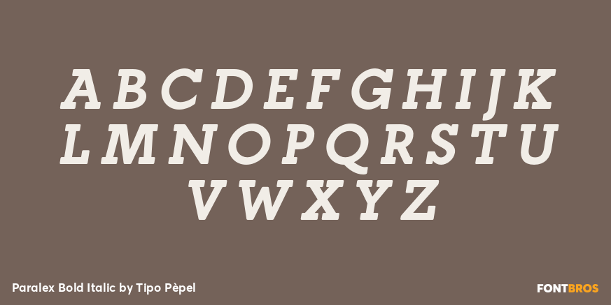 Paralex Bold Italic Font Poster #2