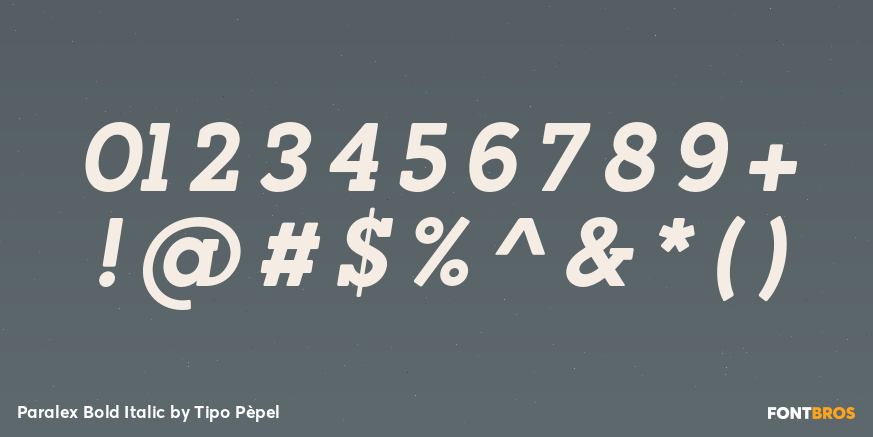 Paralex Bold Italic Font Poster #4