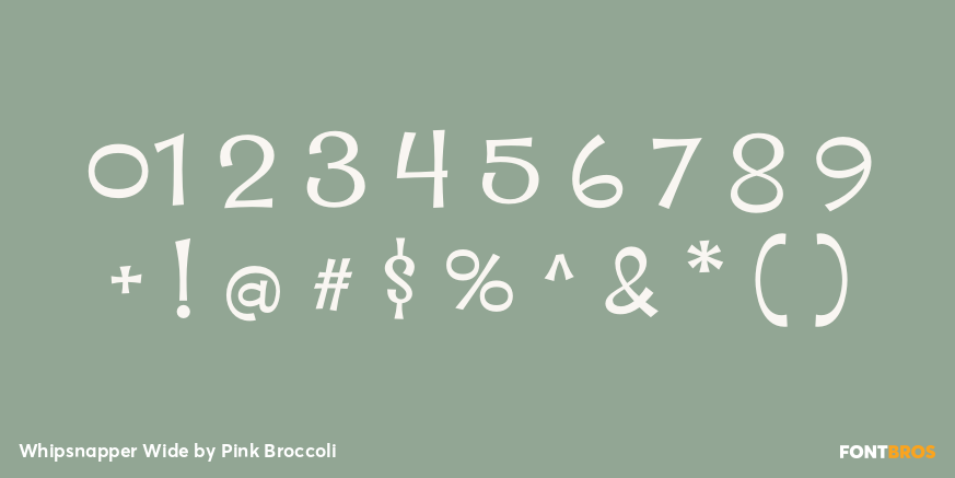 Whipsnapper Wide Font Poster #4