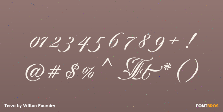 Terzo Font Poster #4