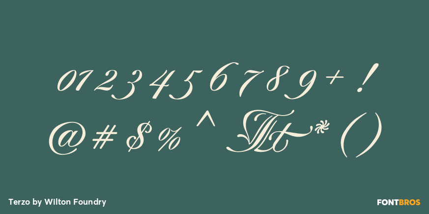 Terzo Font Poster #4