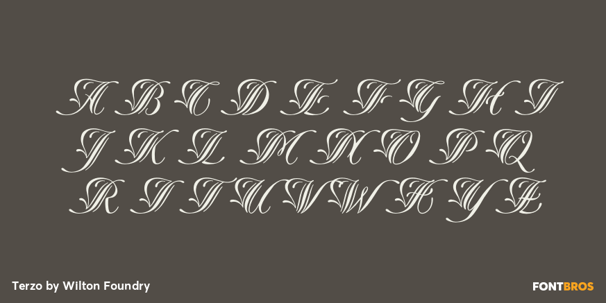 Terzo Font Poster #2