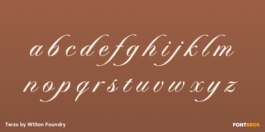 Terzo Font Poster #3