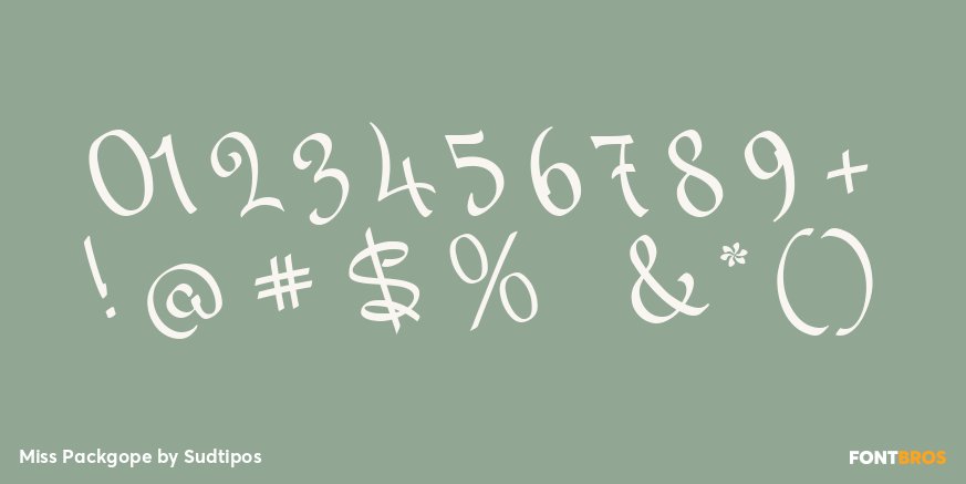 Miss Packgope Font Poster #4