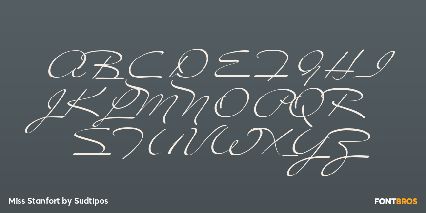 Miss Stanfort Font Poster #1