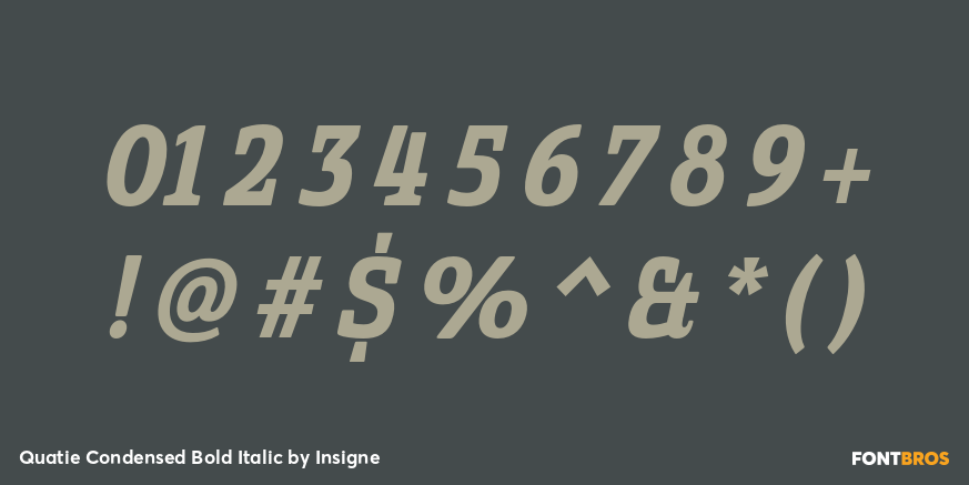 Quatie Condensed Bold Italic Font Poster #4