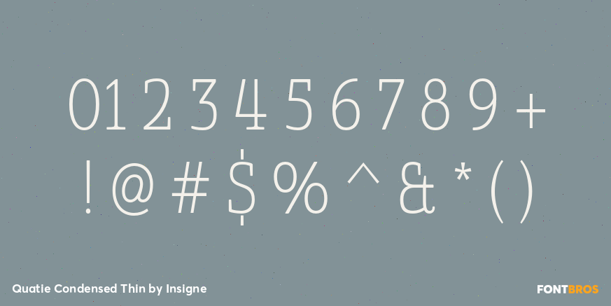 Quatie Condensed Thin Font Poster #4