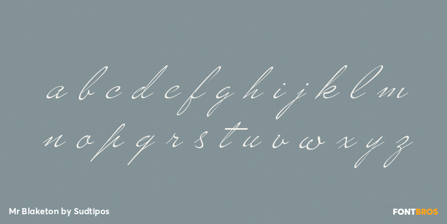 Mr Blaketon Font Poster #3