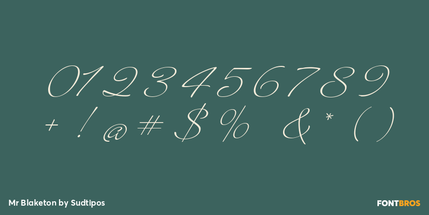 Mr Blaketon Font Poster #4