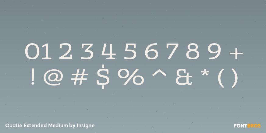 Quatie Extended Medium Font Poster #1