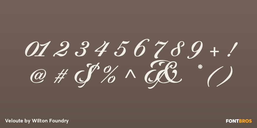 Veloute Font Poster #1