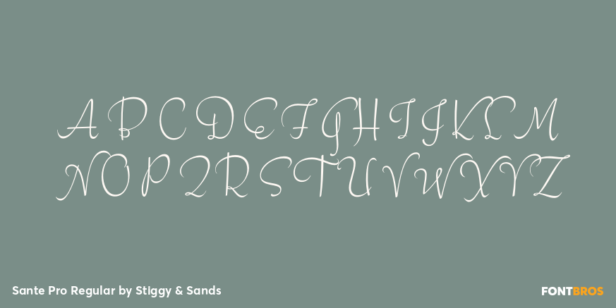 Sante Pro Regular Font Poster #2