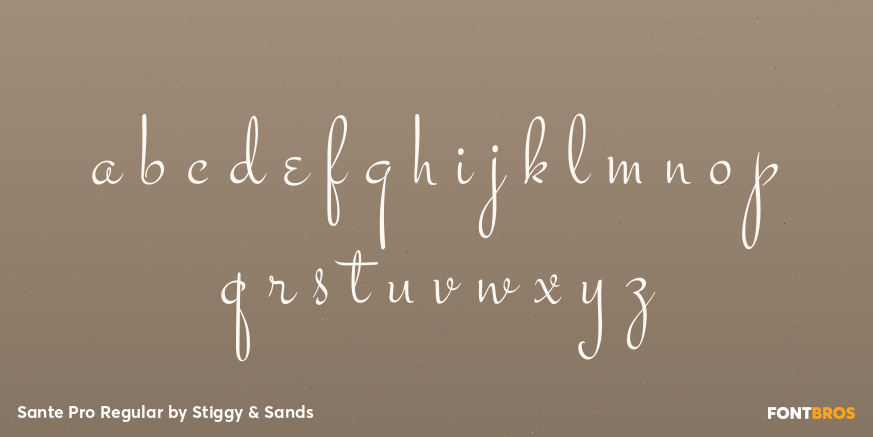 Sante Pro Regular Font Poster #3