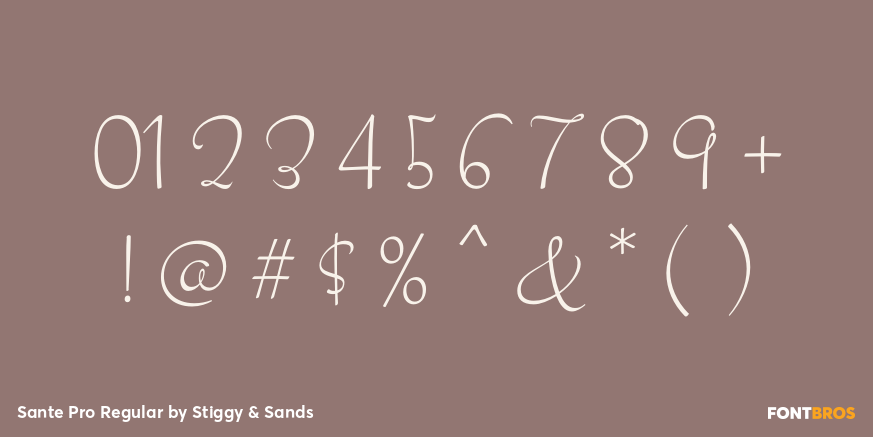 Sante Pro Regular Font Poster #4