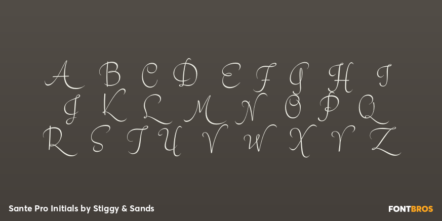 Sante Pro Initials Font Poster #2