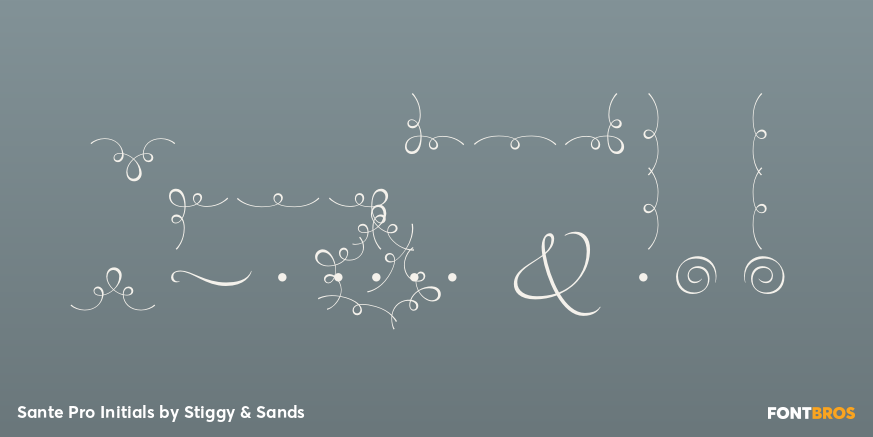 Sante Pro Initials Font Poster #4