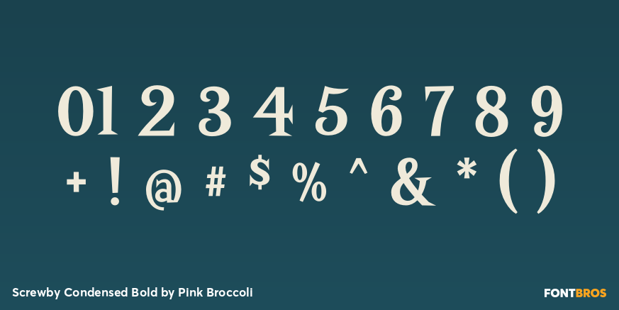 Screwby Condensed Bold Font Poster #4