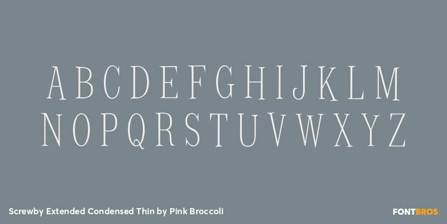 Screwby Extended Condensed Thin Font Poster #2