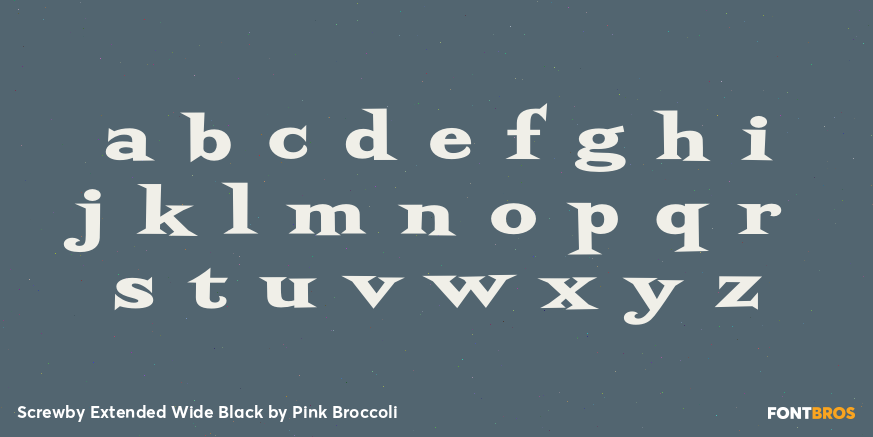 Screwby Extended Wide Black Font Poster #3