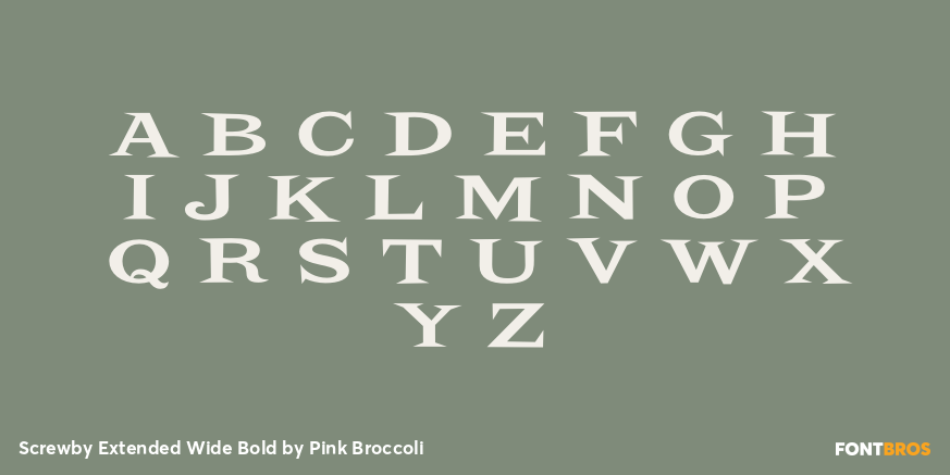 Screwby Extended Wide Bold Font Poster #2