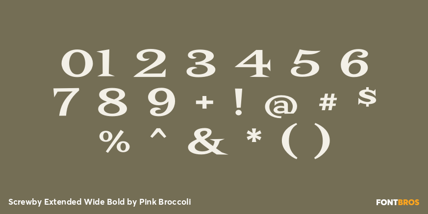 Screwby Extended Wide Bold Font Poster #4