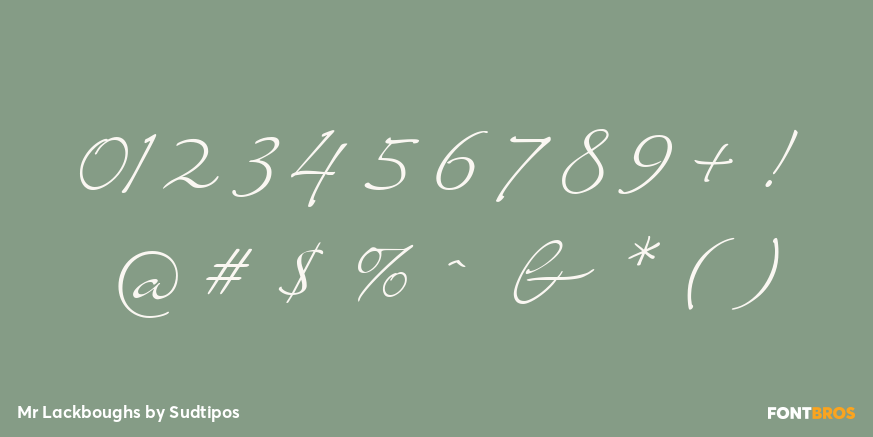 Mr Lackboughs Font Poster #4