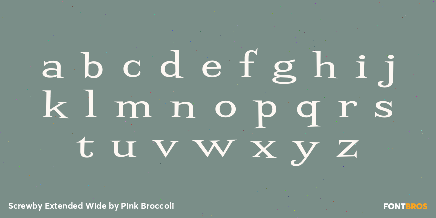 Screwby Extended Wide Font Poster #3