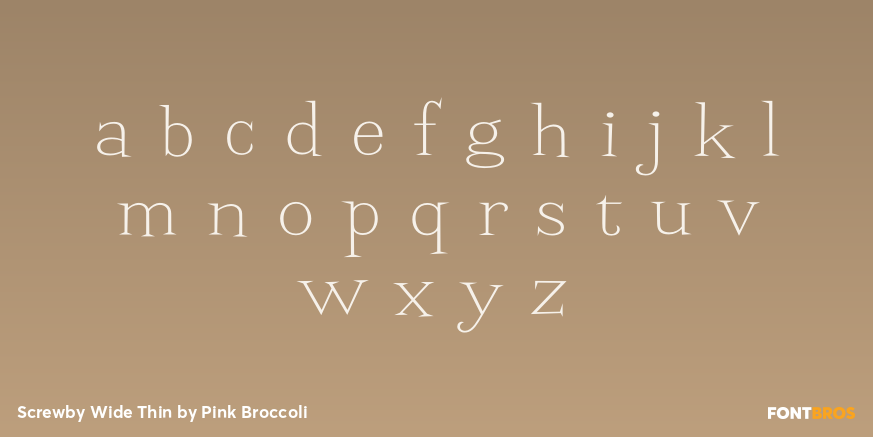 Screwby Wide Thin Font Poster #3