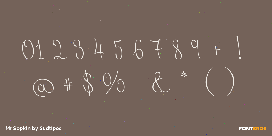 Mr Sopkin Font Poster #4