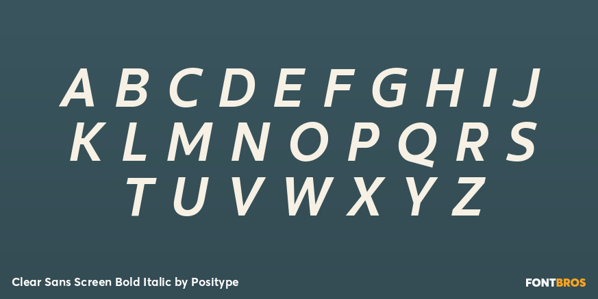 Clear Sans Screen Bold Italic Font Poster #2