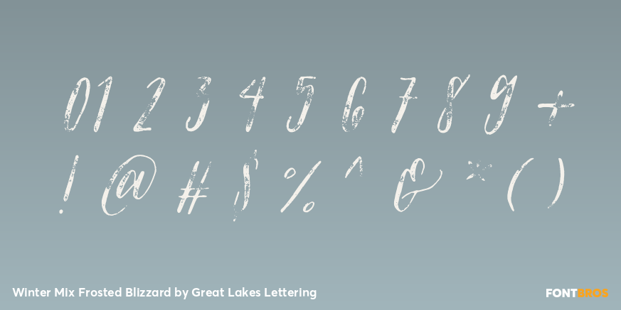 Winter Mix Frosted Blizzard Font Poster #4