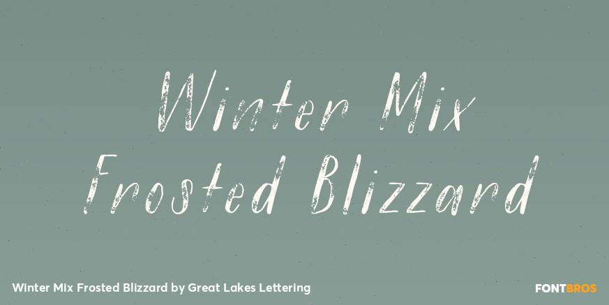 Winter Mix Frosted Blizzard Poster