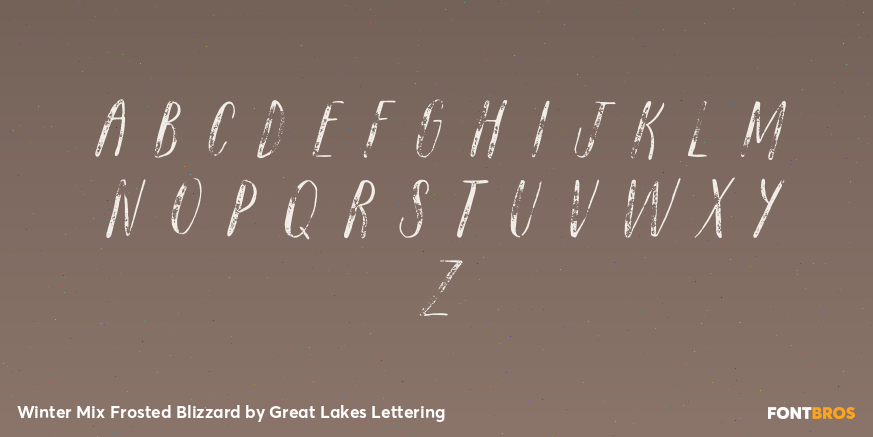 Winter Mix Frosted Blizzard Font Poster #2