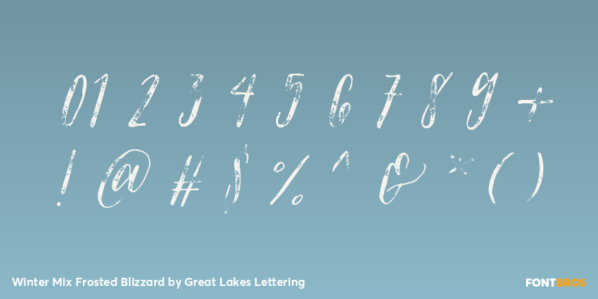 Winter Mix Frosted Blizzard Font Poster #4