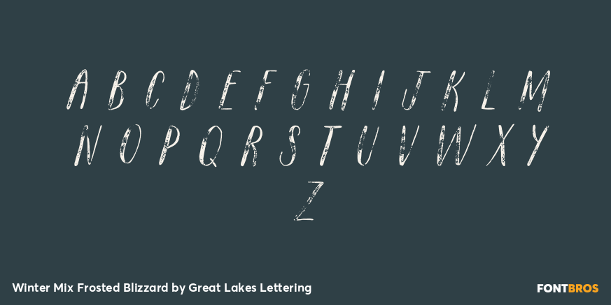 Winter Mix Frosted Blizzard Font Poster #2