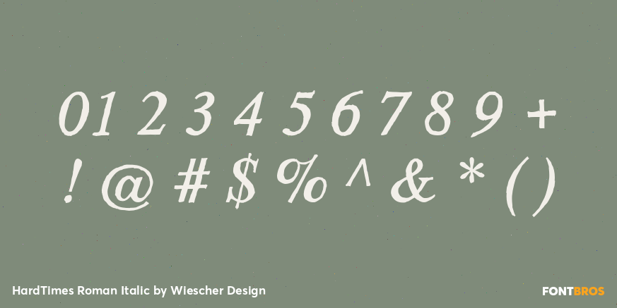 HardTimes Roman Italic Font Poster #1
