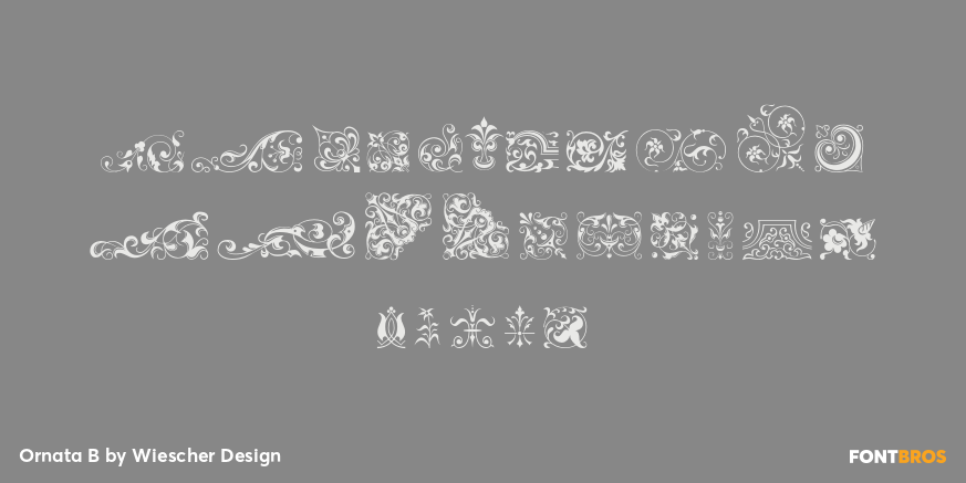 Ornata B Font Poster #1