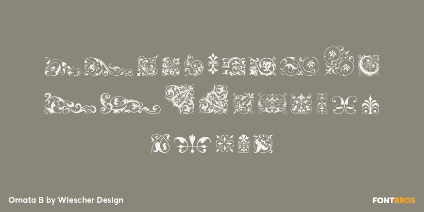Ornata B Font Poster #1