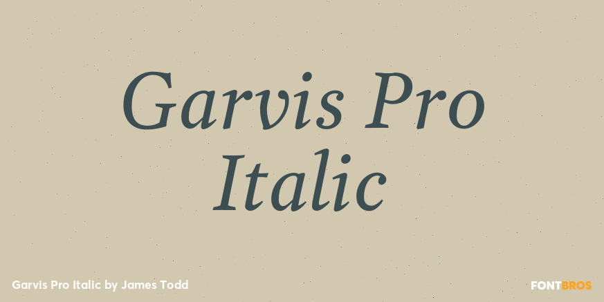 Garvis Pro Italic Font Poster