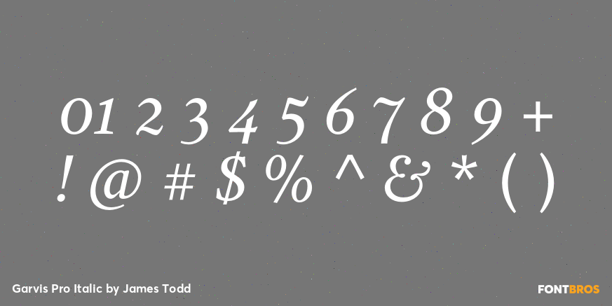 Garvis Pro Italic Font Poster #4