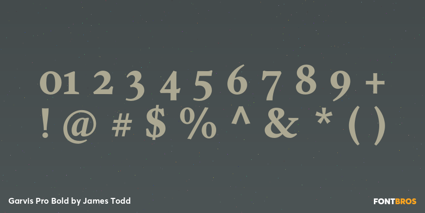 Garvis Pro Bold Font Poster #1