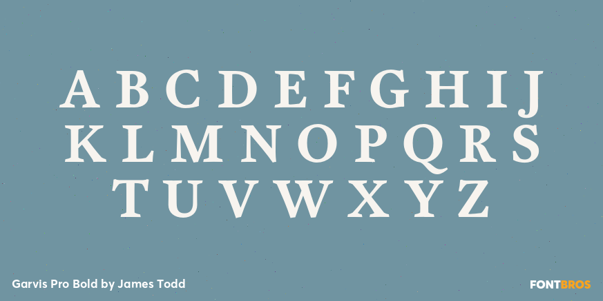 Garvis Pro Bold Font Poster #1