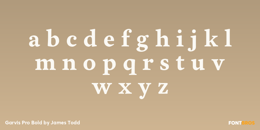 Garvis Pro Bold Font Poster #1