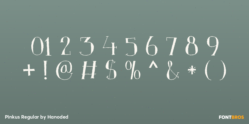 Pinkus Regular Font Poster #4