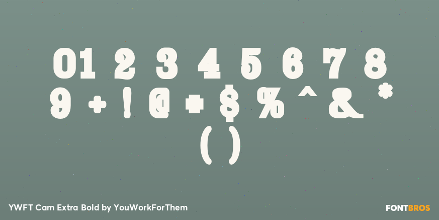 YWFT Cam Extra Bold Font Poster #1
