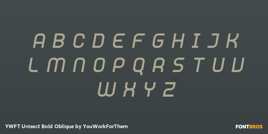 YWFT Unisect Bold Oblique Font Poster #2