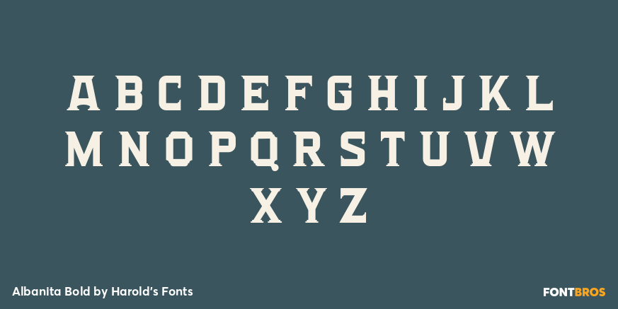 Albanita Bold Font Poster #2