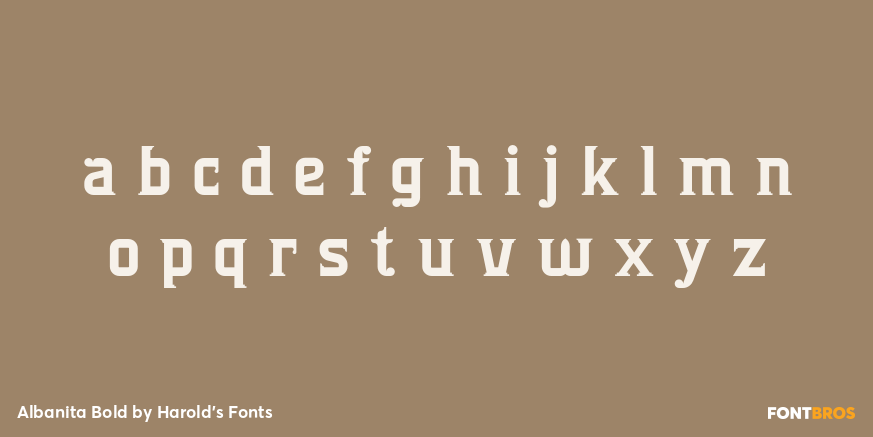 Albanita Bold Font Poster #3