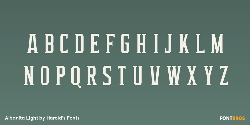 Albanita Light Font Poster #2
